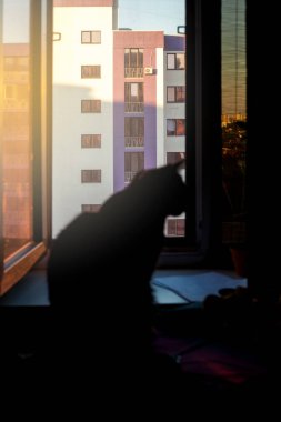 Pencere pervazındaki kedi. Yanında bir kedinin fotoğrafı. Gri tüylü tekir kedi pencereden dışarı bakıyor. Evcil hayvan