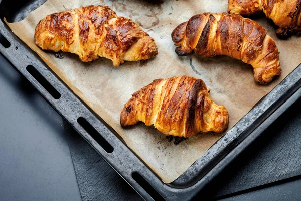 Oven Baked Sugar Frosted Croissants Baking Sheet Covered Parchment Paper — Stock Photo, Image