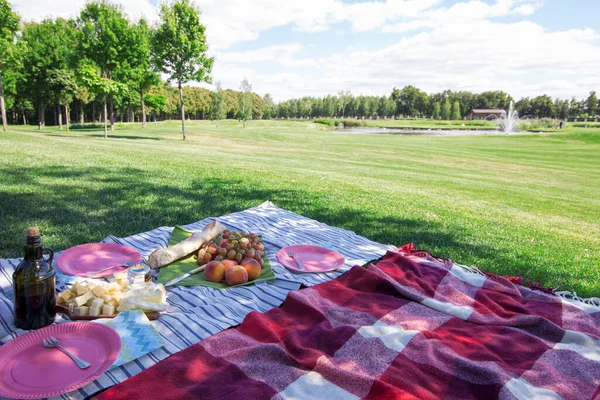 Picnic Parque Hierba Verde Con Bayas Queso Baguette Manta Picnic — Foto de Stock