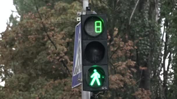 Blinking and changing color traffic light. a green arrow lights up to turn left at the traffic lights,