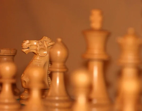 Ahşap beyaz satranç knight ile bazı diğer parçalar