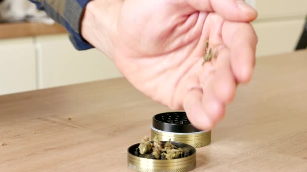 Caucasian male hands grinding medical marijuana in a small gold grinder — Stok video