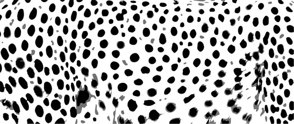 Texture Cheetah Black White Monochrome Leopard - Stok Vektor