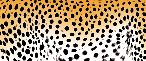 Leopárd Mintás Textúra Narancssárga Fekete Gepárd — Stock Vector