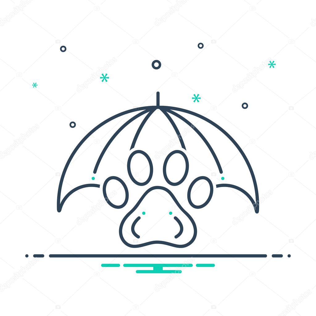  Mix color icon for Pet insurance 