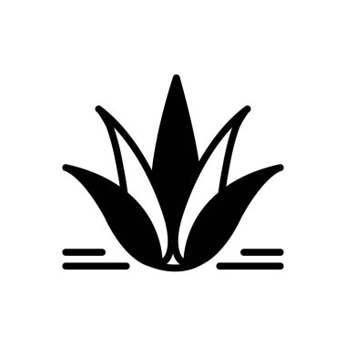 Agav bitki katı siyah simgesi