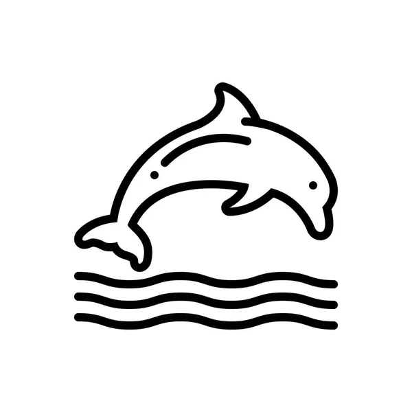 Dolphin — Stock Vector