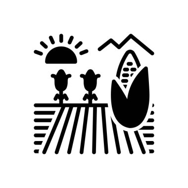 bakış