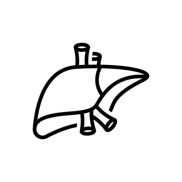 Fígado — Vetor de Stock