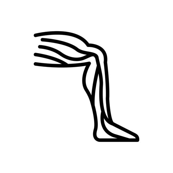 腿部静脉 — 图库矢量图片