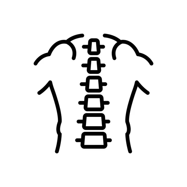 Espina dorsal — Vector de stock