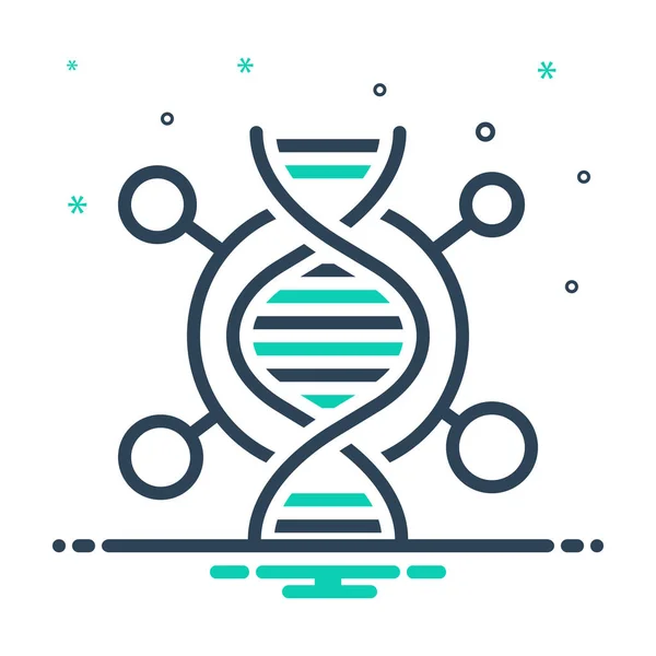 DNA — Stockový vektor