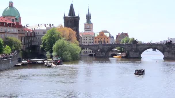 Mening van Charles Bridge Tsjechië — Stockvideo