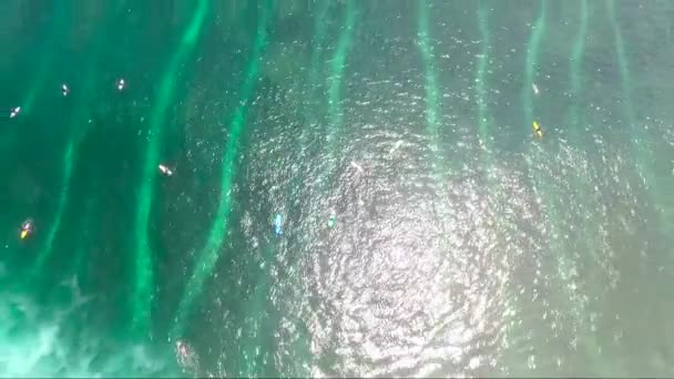 Surfistas profissionais wate uma onda gigante. Vista aérea — Vídeo de Stock