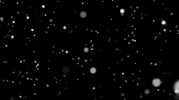 Fehér animált ragyogó részecske háttér — Stock videók