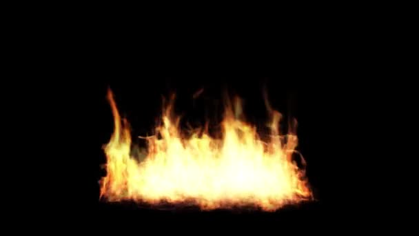 Απρόσκοπτη Looping Animation of Fire Flame on Black Background. 4k. Άλφα Μάτε — Αρχείο Βίντεο