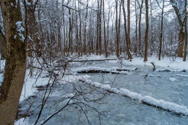 Buzlu orman akışında soğuk kış gününde şiddetli kar yağışı