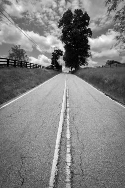 Simetrik otoyol çizgilerle siyah beyaz parlak yaz yol
