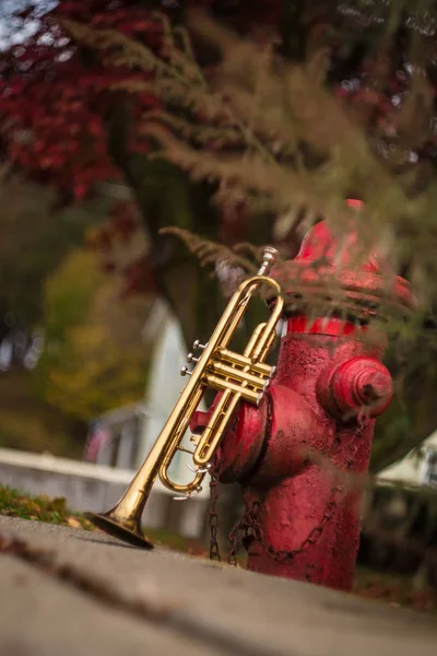 Autumn Jazz Instrument Trumpet Standing Alone Nature — Stock Photo, Image