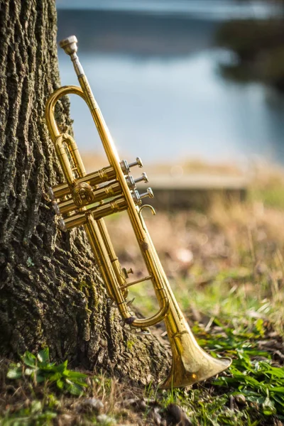 Autumn Jazz Instrument Trumpet Standing Alone Nature — Stock Photo, Image