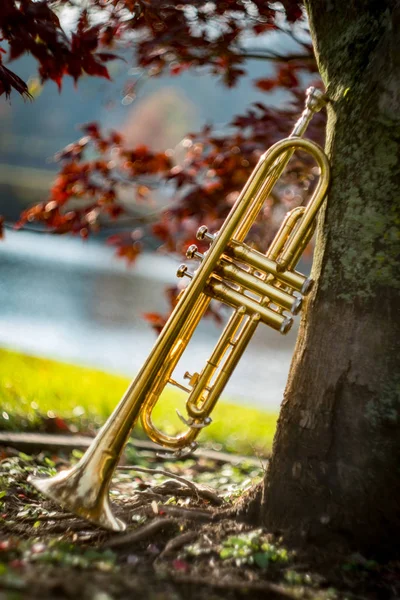 Jesienny Instrument Jazzowy Trąbka Stojąca Samotnie Naturze — Zdjęcie stockowe