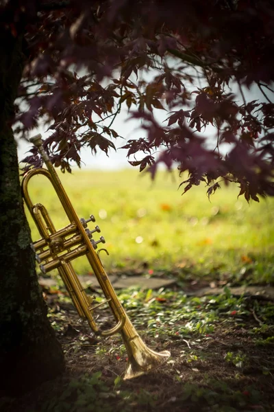 Jesienny Instrument Jazzowy Trąbka Stojąca Samotnie Naturze — Zdjęcie stockowe