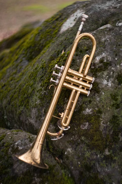 Autumn Jazz Instrument Trumpet Standing Alone Nature — Stock Photo, Image