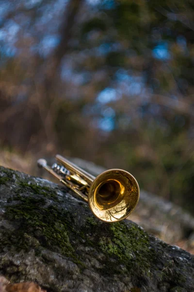 Jesienny Instrument Jazzowy Trąbka Stojąca Samotnie Naturze — Zdjęcie stockowe