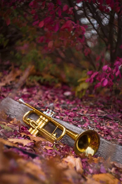 Hösten Jazz Instrument Trumpet Stående Ensam Naturen — Stockfoto