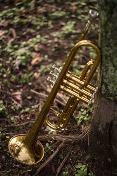 Autumn Jazz Instrument Trumpet Standing Alone Nature — Stock Photo, Image