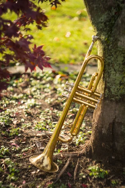 stock image Autumn jazz instrument trumpet standing alone in nature