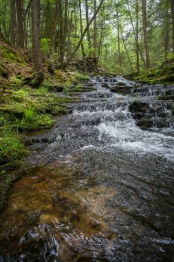 Su sıçramasına karşı yosunlu kayalar zamanında donmuş şelale rapids