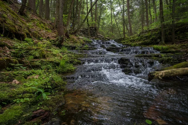 Rápidos Cascada Con Agua Congelada Tiempo Salpicando Contra Rocas Musgosas — Foto de Stock