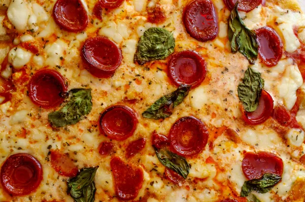 Frische Scharfe Hausgemachte Basilikum Und Pfefferoni Pizza — Stockfoto