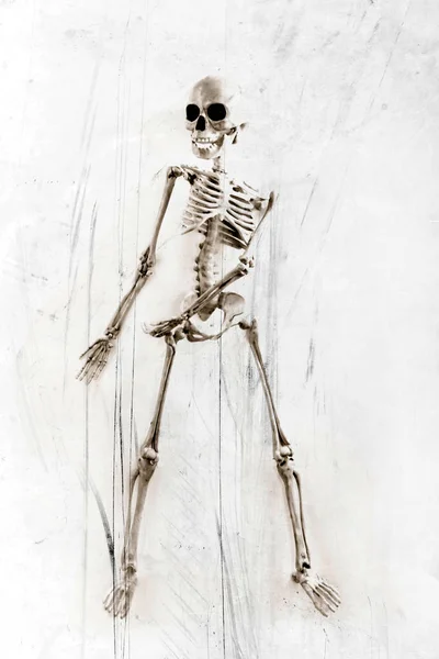 Silly Dancing Medical Skeleton Grunge Vintage Background — Stock Photo, Image