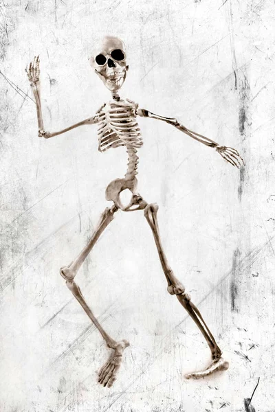 Dummes Tanzendes Medizinisches Skelett Auf Grunge Vintage Hintergrund — Stockfoto