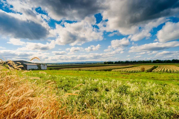 納屋と水平線を示す緑豊かな農地の上の青い空 Cloudscape — ストック写真