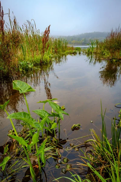 Moody Misty Autumn Lake Early Morning — Stock Photo, Image