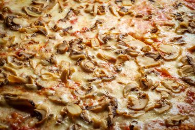 Mantar soslu New York usulü peynirli pizza dilimi