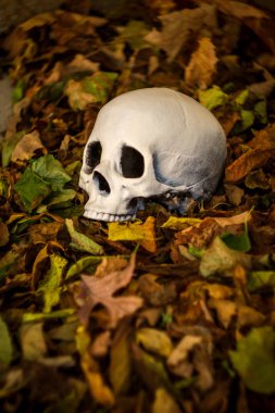 Korkunç jawless Cadılar Bayramı kafatasında sonbahar yaprakları düşmüş
