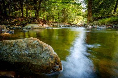 Yaz günü orman suyu hareket bulanıklığı dalgalarıyla