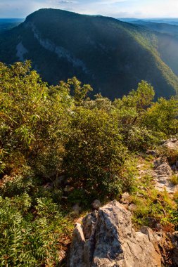 Dağın manzarası. Tammany Dağı 'nın tepesinden Minsi Delaware su geçidine yakın.