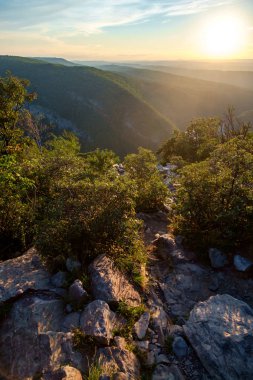 Dağın manzarası. Tammany Dağı 'nın tepesinden Minsi Delaware su geçidine yakın.