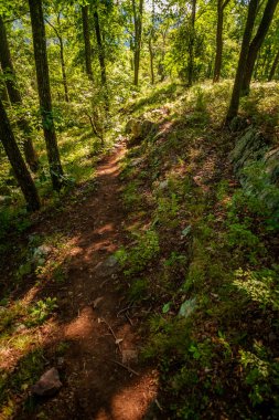 Dağ trail zammı dik tırmanış yaz gününde