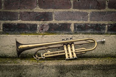 Eski paslı Jazz enstrümanı, kulübün dışındaki tuğla duvar binasına yaslanıyor.