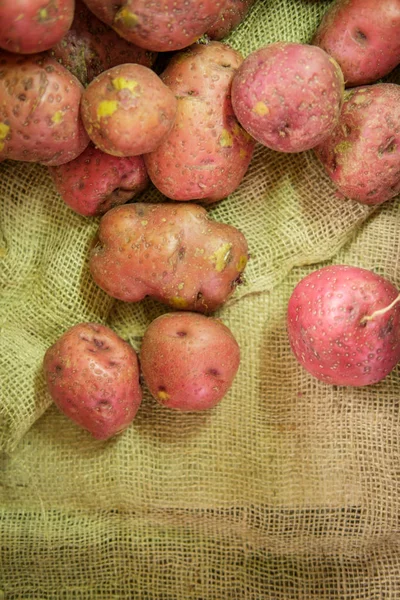 Agricultores Biológicos Comercializam Batatas Vermelhas Pano Cânhamo — Fotografia de Stock