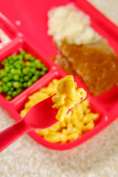 Grade School Lunch Salisbury Steak Auf Tablett Mit Erbsen Makkaroni — Stockfoto