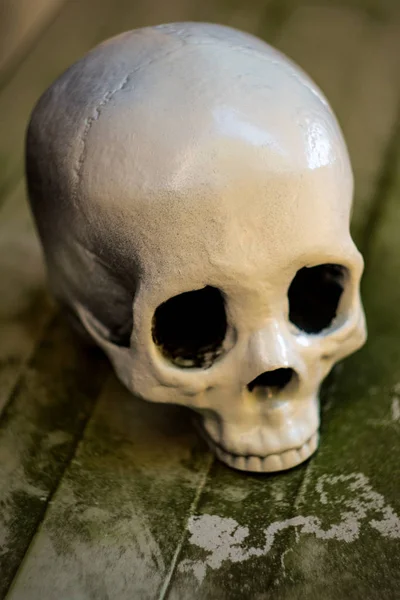Crânio Assustador Sem Mandíbula Halloween Com Fundo Rua Texturizado — Fotografia de Stock
