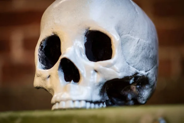 Assustador Mandíbula Halloween Crânio Com Tijolo Parede Fundo — Fotografia de Stock