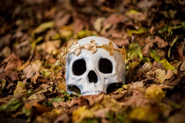Crânio Esqueleto Humano Rei Rainha Usando Coroa Folha Ouro Real — Fotografia de Stock